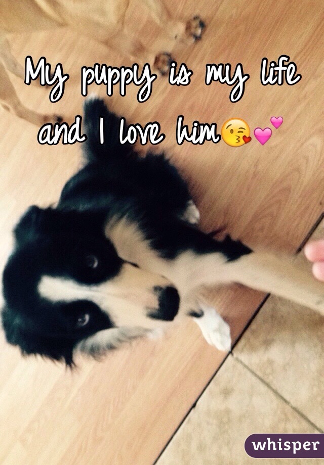 My puppy is my life and I love him😘💕
