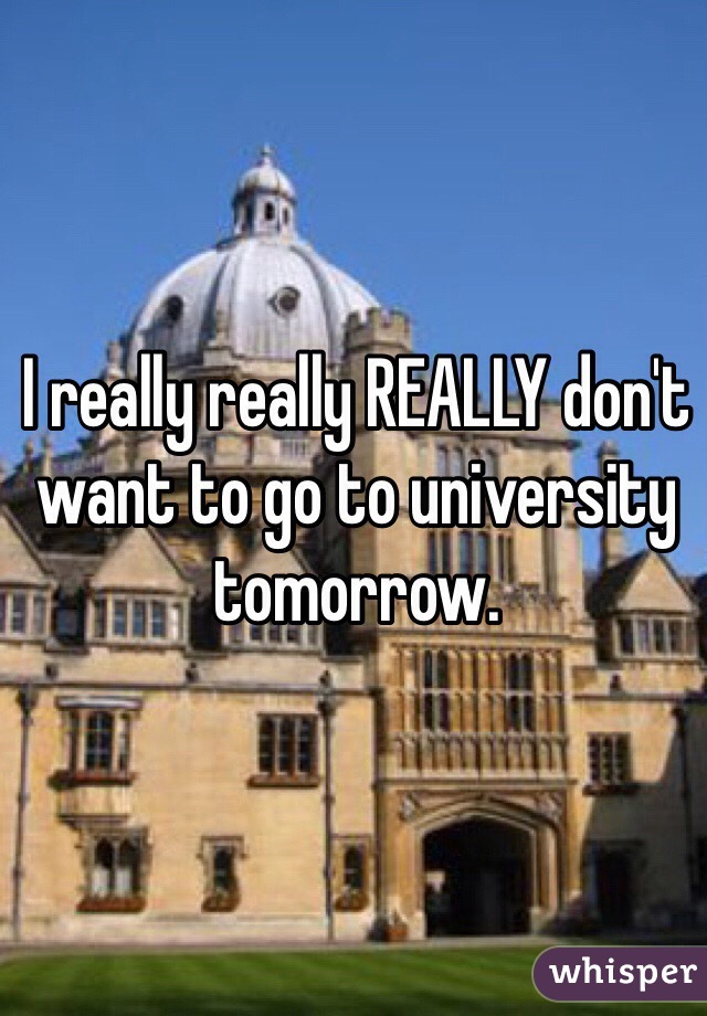 I really really REALLY don't want to go to university tomorrow.