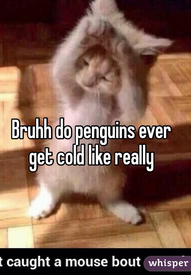 Bruhh do penguins ever get cold like really 