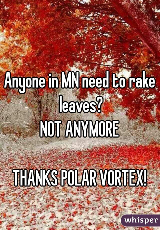 Anyone in MN need to rake leaves?
NOT ANYMORE

THANKS POLAR VORTEX!