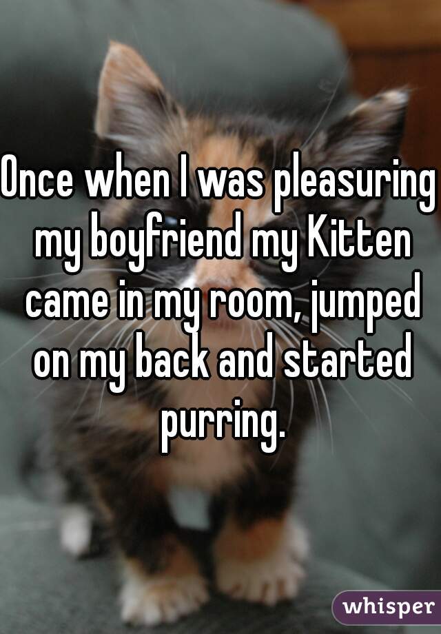Once when I was pleasuring my boyfriend my Kitten came in my room, jumped on my back and started purring.