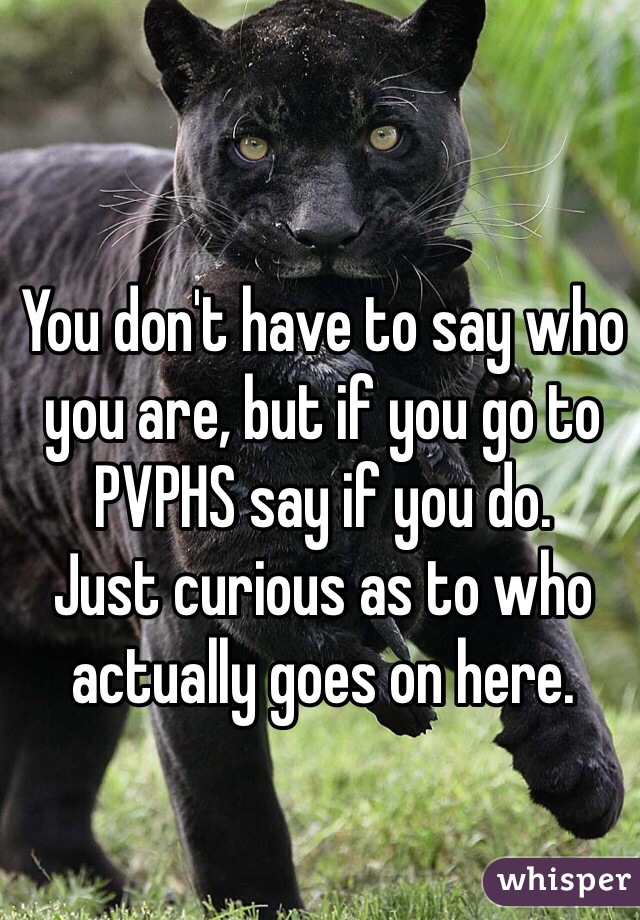 You don't have to say who you are, but if you go to PVPHS say if you do.
Just curious as to who actually goes on here.