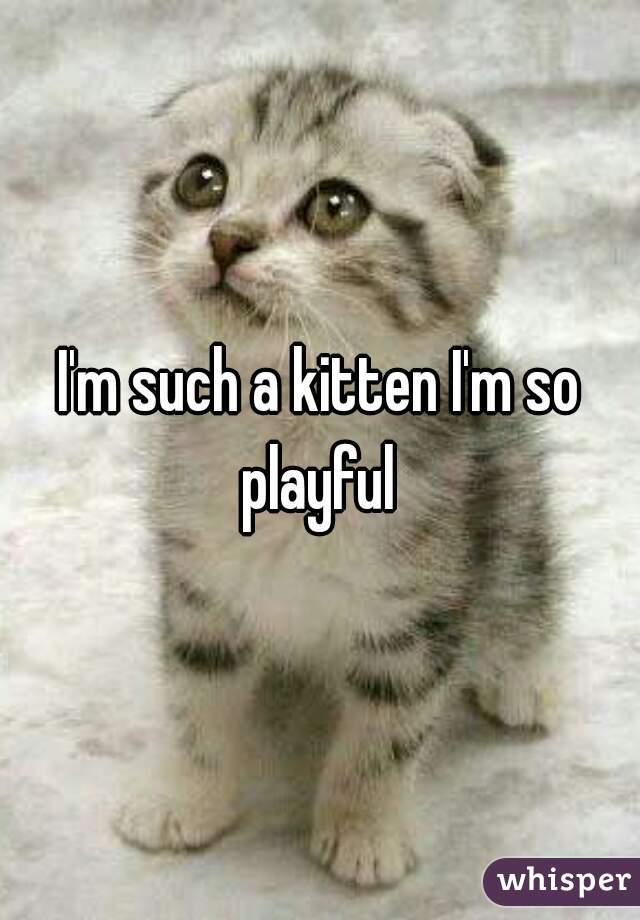 I'm such a kitten I'm so playful 