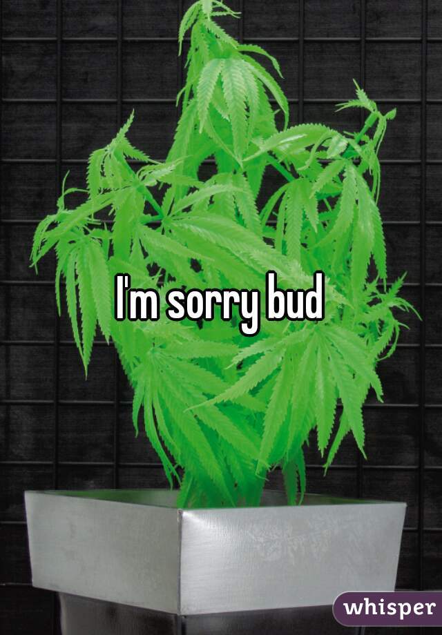 I'm sorry bud