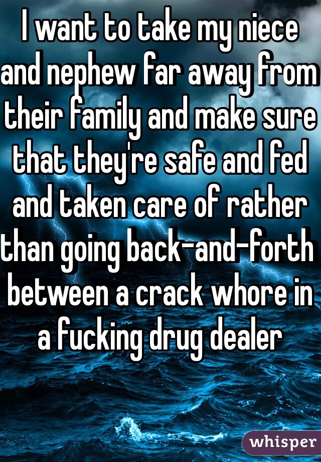 I want to take my niece and nephew far away from their family and make sure that they're safe and fed and taken care of rather than going back-and-forth between a crack whore in a fucking drug dealer