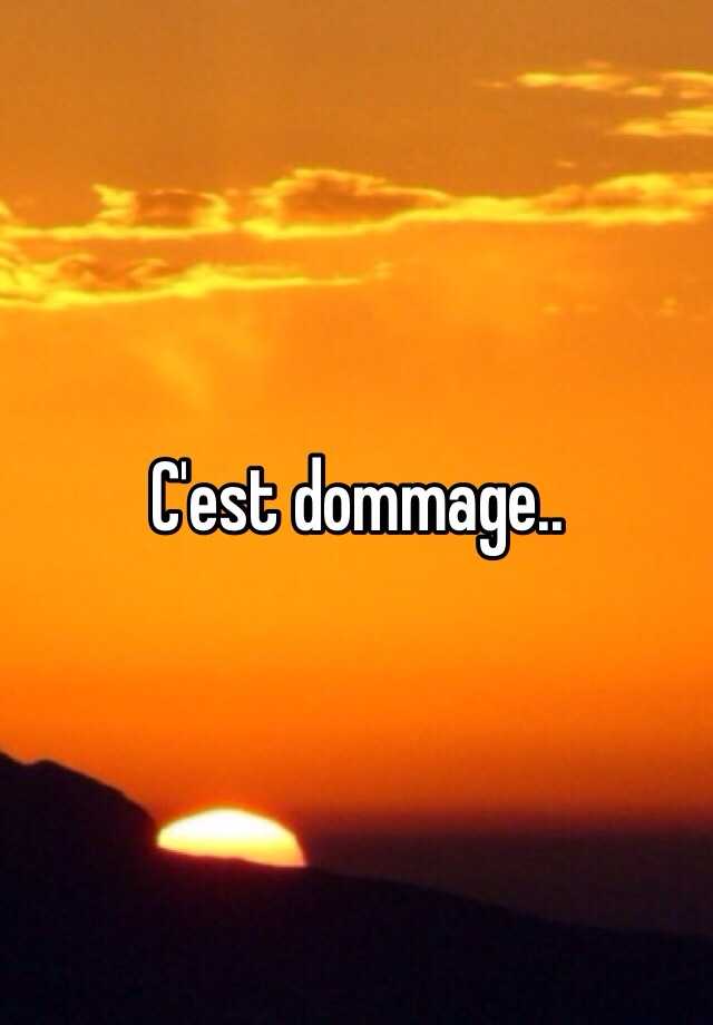 c-est-dommage