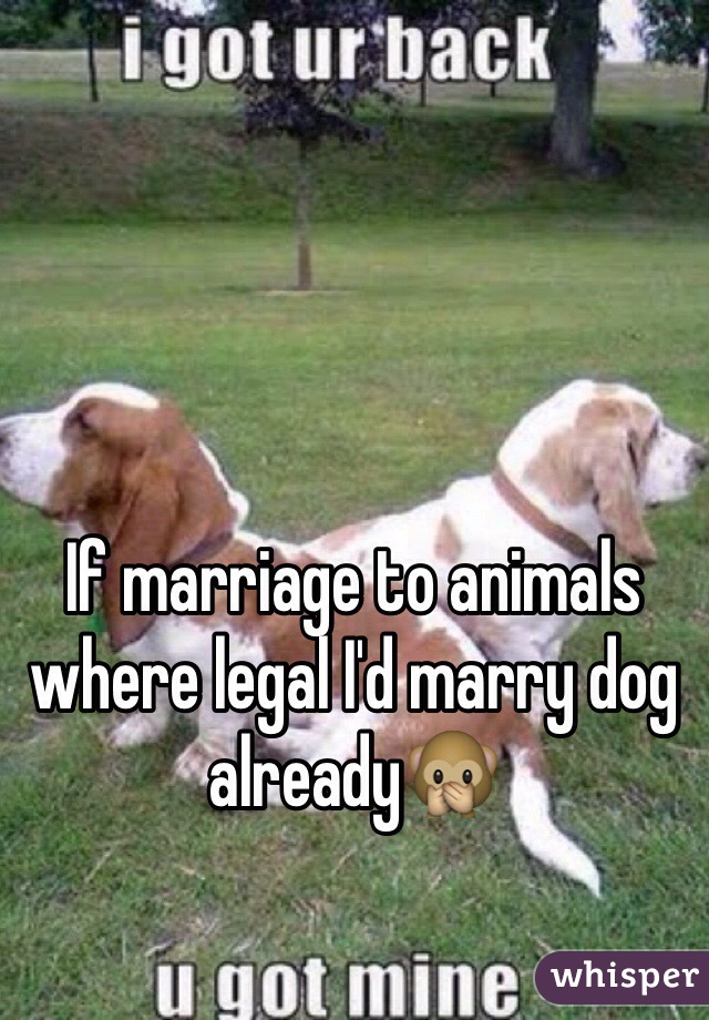 If marriage to animals where legal I'd marry dog already🙊