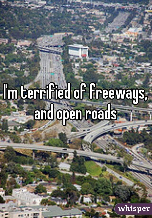 I'm terrified of freeways, and open roads 
