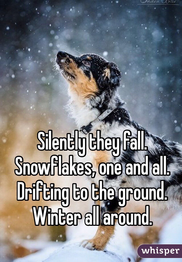 Silently they fall. Snowflakes, one and all. Drifting to the ground. Winter all around.