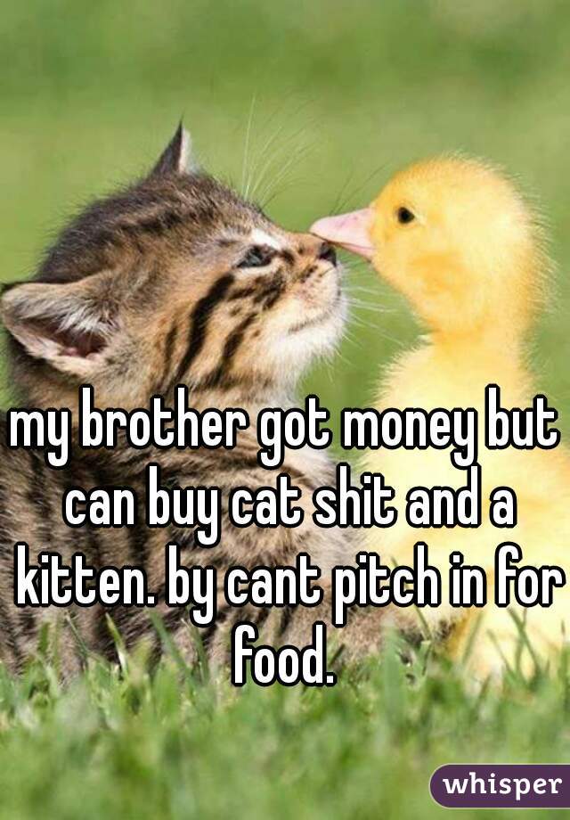 my brother got money but can buy cat shit and a kitten. by cant pitch in for food. 