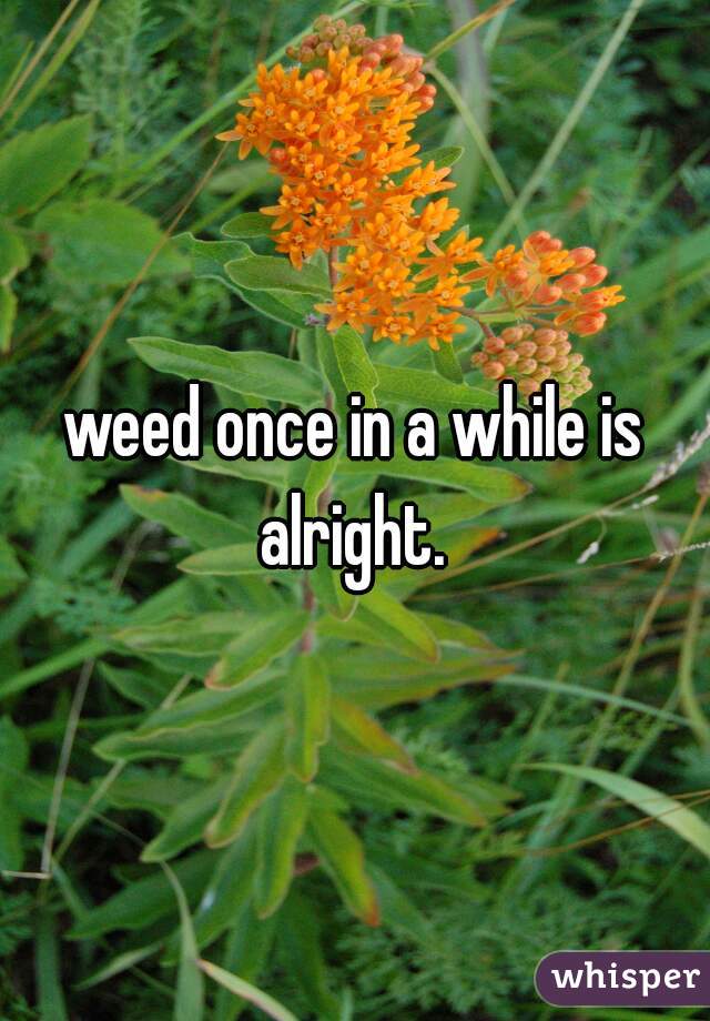 weed once in a while is alright. 