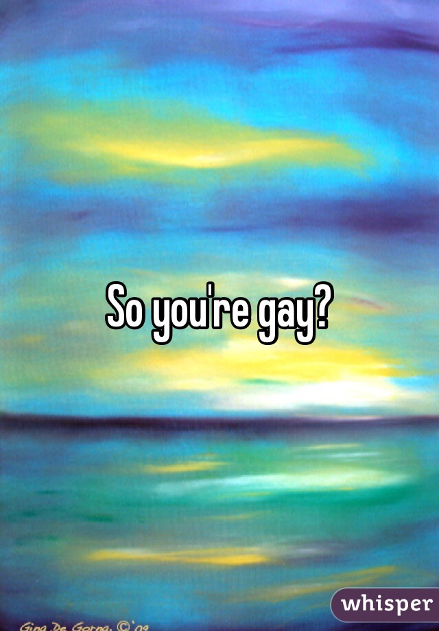 So you're gay?