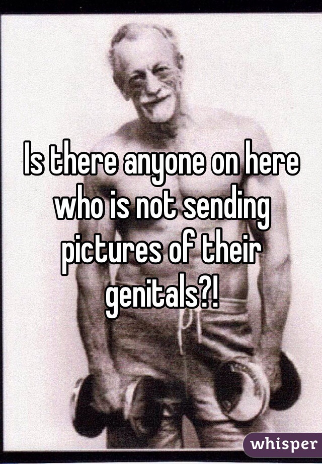 Is there anyone on here who is not sending pictures of their genitals?!