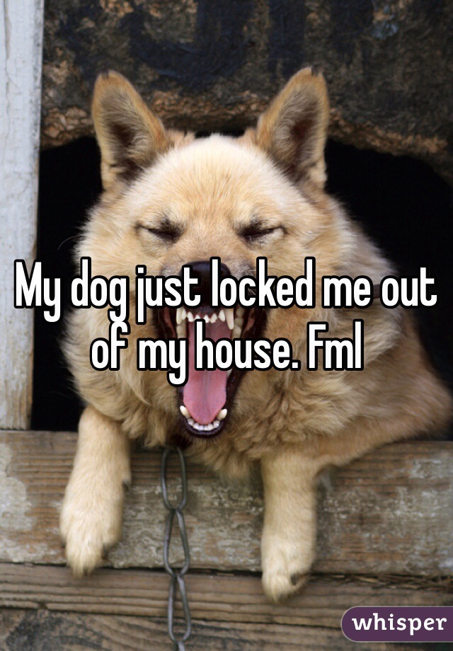 My dog just locked me out of my house. Fml