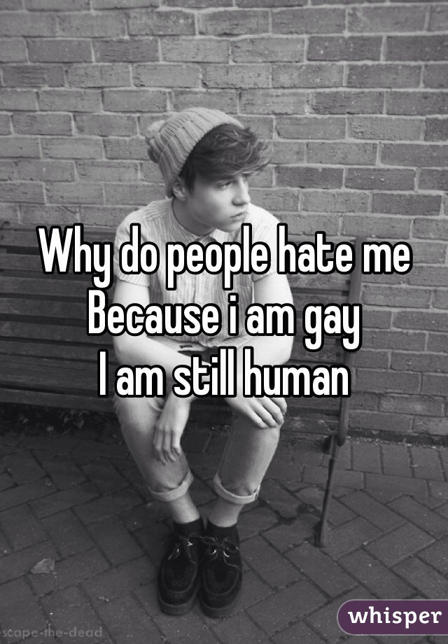 Why do people hate me
Because i am gay 
I am still human