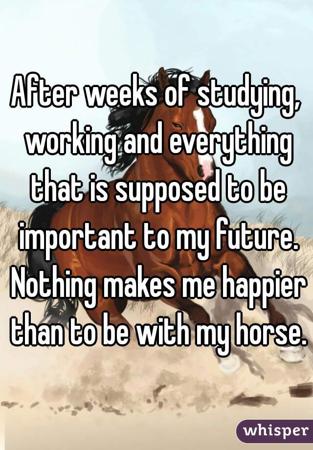 After weeks of studying, working and everything that is supposed to be important to my future. Nothing makes me happier than to be with my horse.