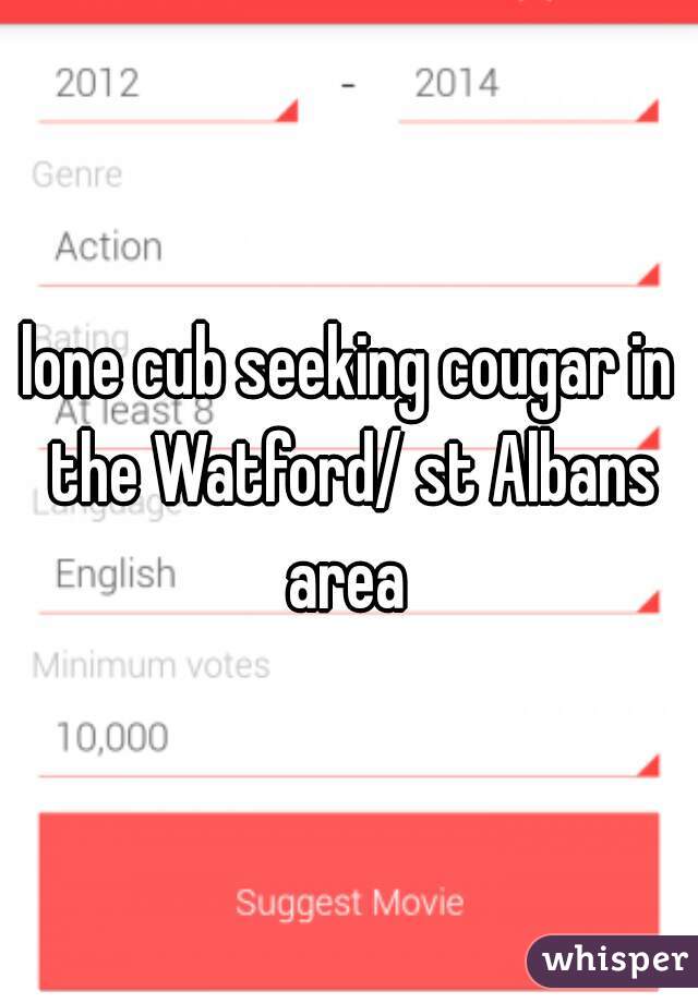 lone cub seeking cougar in the Watford/ st Albans area 
