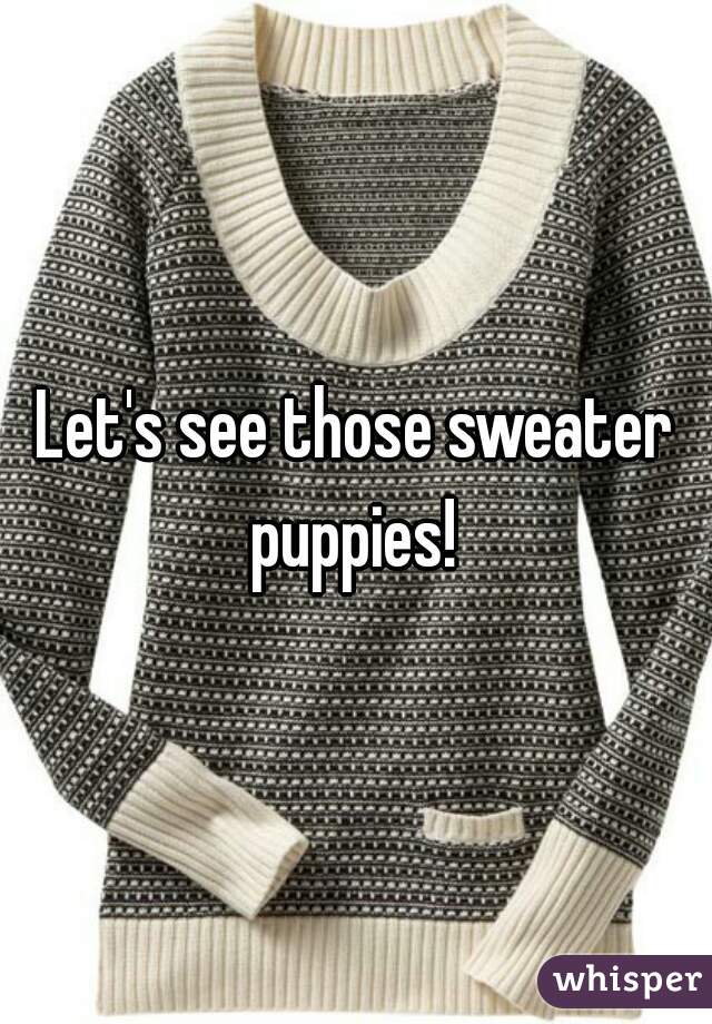 Let's see those sweater puppies! 