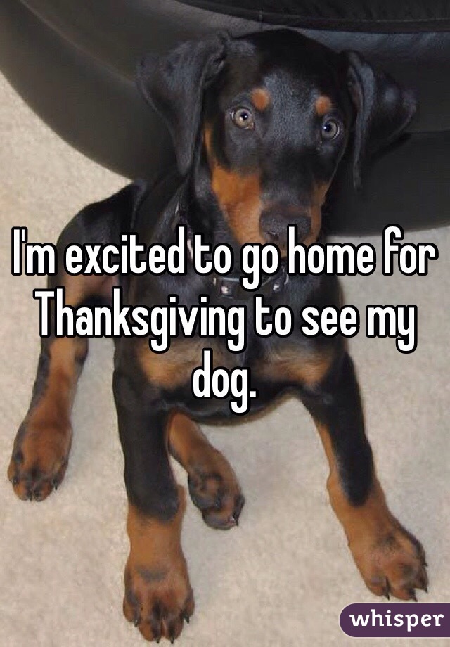 I'm excited to go home for Thanksgiving to see my dog.