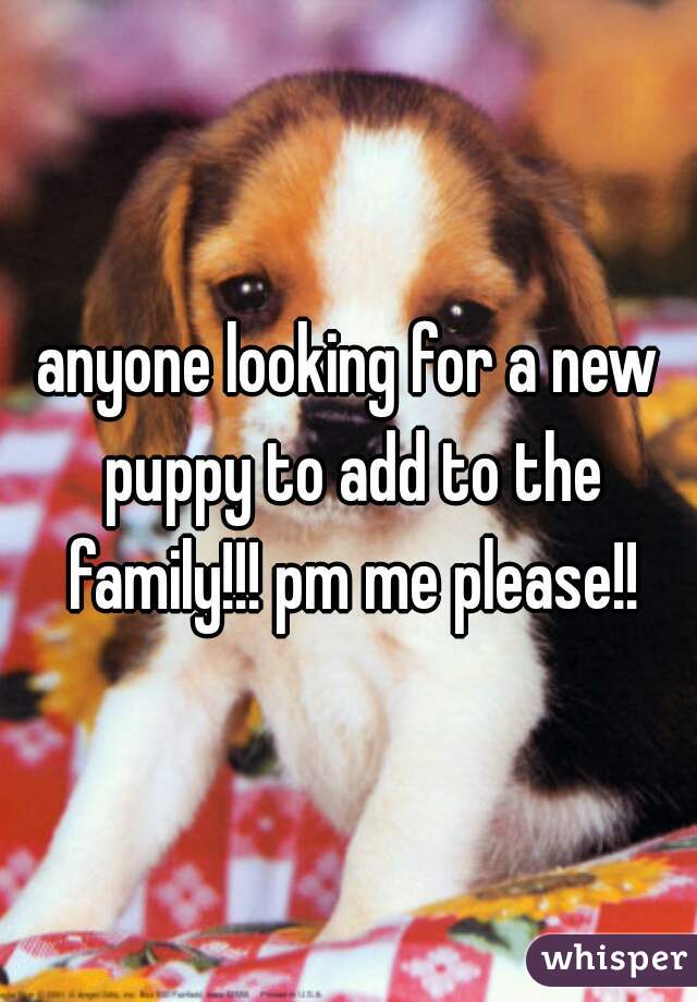 anyone looking for a new puppy to add to the family!!! pm me please!!