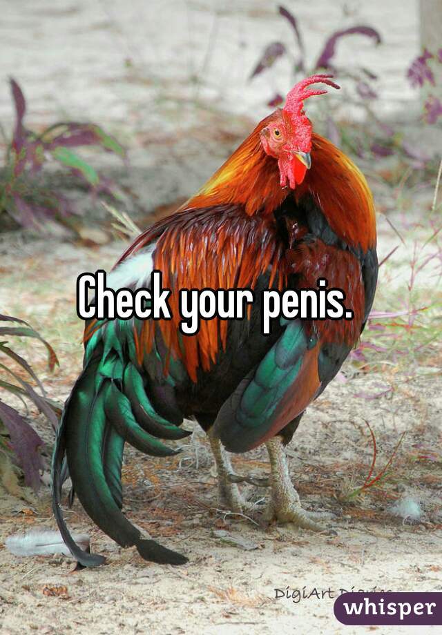Check your penis. 