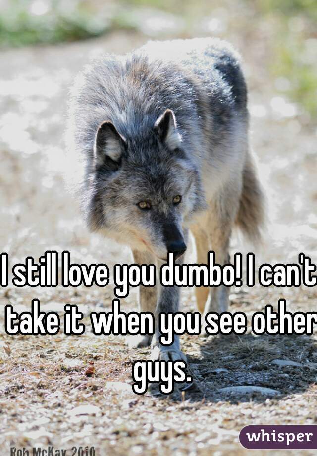 I still love you dumbo! I can't take it when you see other guys.