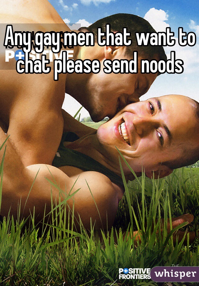 Any gay men that want to chat please send noods