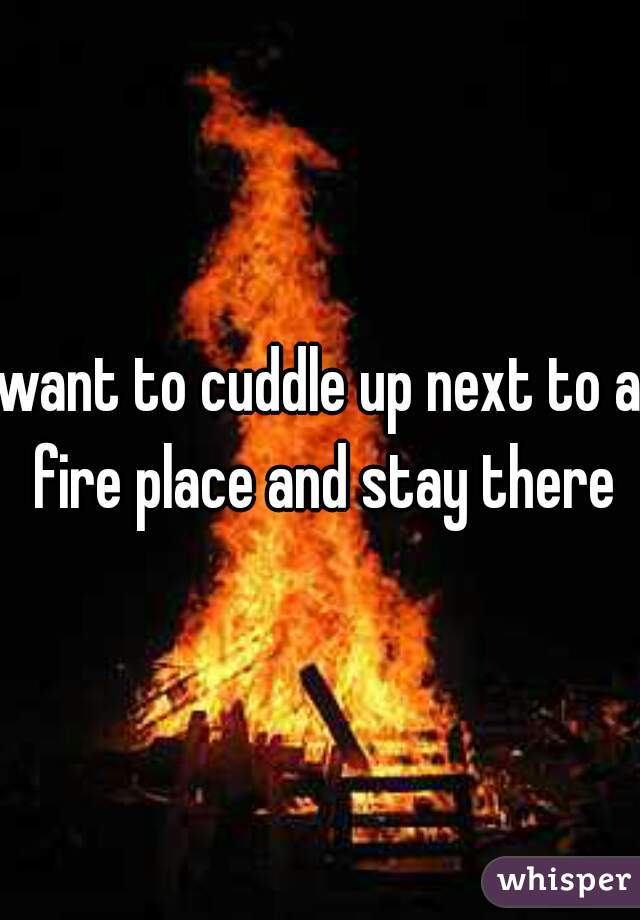 want to cuddle up next to a fire place and stay there