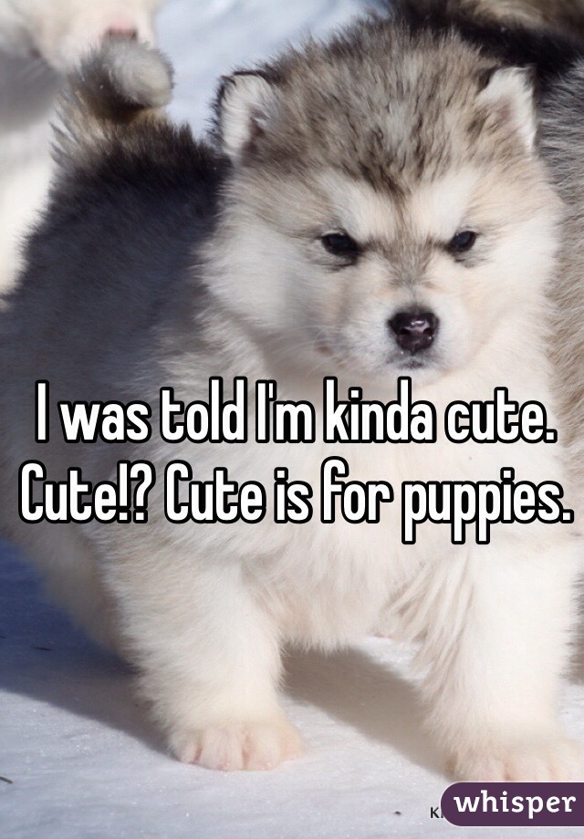 I was told I'm kinda cute. Cute!? Cute is for puppies.