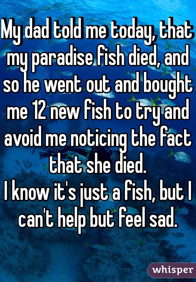 My dad told me today, that my paradise fish died, and so he went out and bought me 12 new fish to try and avoid me noticing the fact that she died. 
I know it's just a fish, but I can't help but feel sad.