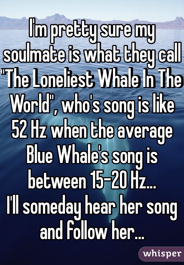 I'm pretty sure my soulmate is what they call "The Loneliest Whale In The World", who's song is like 52 Hz when the average Blue Whale's song is between 15-20 Hz...
I'll someday hear her song and follow her...