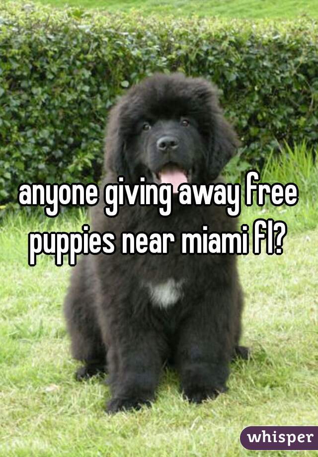 anyone giving away free puppies near miami fl? 
