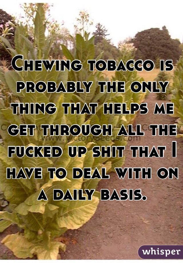 Chewing tobacco is probably the only thing that helps me get through all the fucked up shit that I have to deal with on a daily basis.