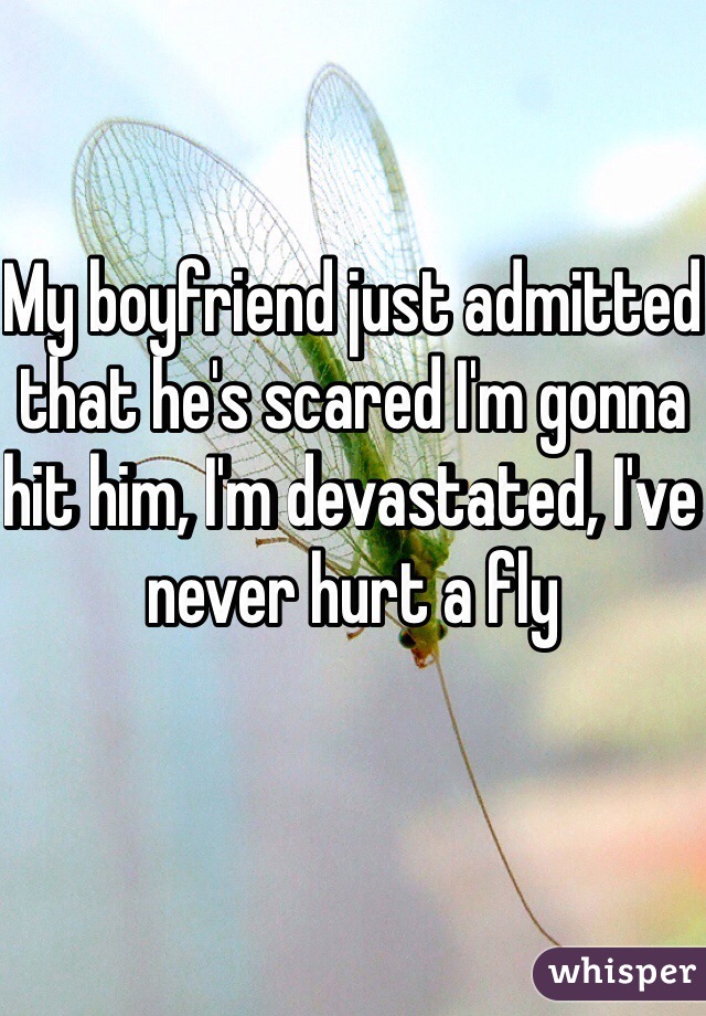 My boyfriend just admitted that he's scared I'm gonna hit him, I'm devastated, I've never hurt a fly 