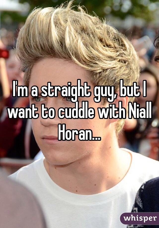 I'm a straight guy, but I want to cuddle with Niall Horan...