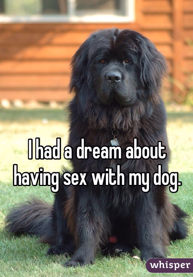I had a dream about having sex with my dog.