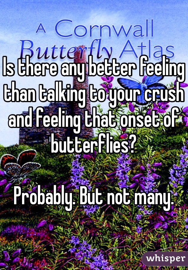 Is there any better feeling than talking to your crush and feeling that onset of butterflies?

Probably. But not many. 