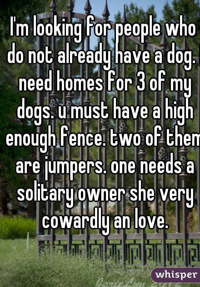 I'm looking for people who do not already have a dog. I need homes for 3 of my dogs. u must have a high enough fence. two of them are jumpers. one needs a solitary owner she very cowardly an love.