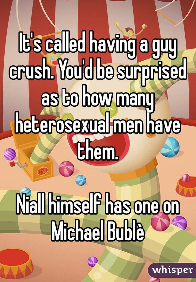 It's called having a guy crush. You'd be surprised as to how many heterosexual men have them. 

Niall himself has one on Michael Bublè 