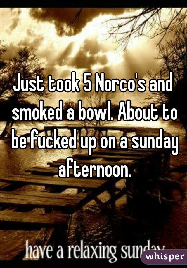 Just took 5 Norco's and smoked a bowl. About to be fucked up on a sunday afternoon.