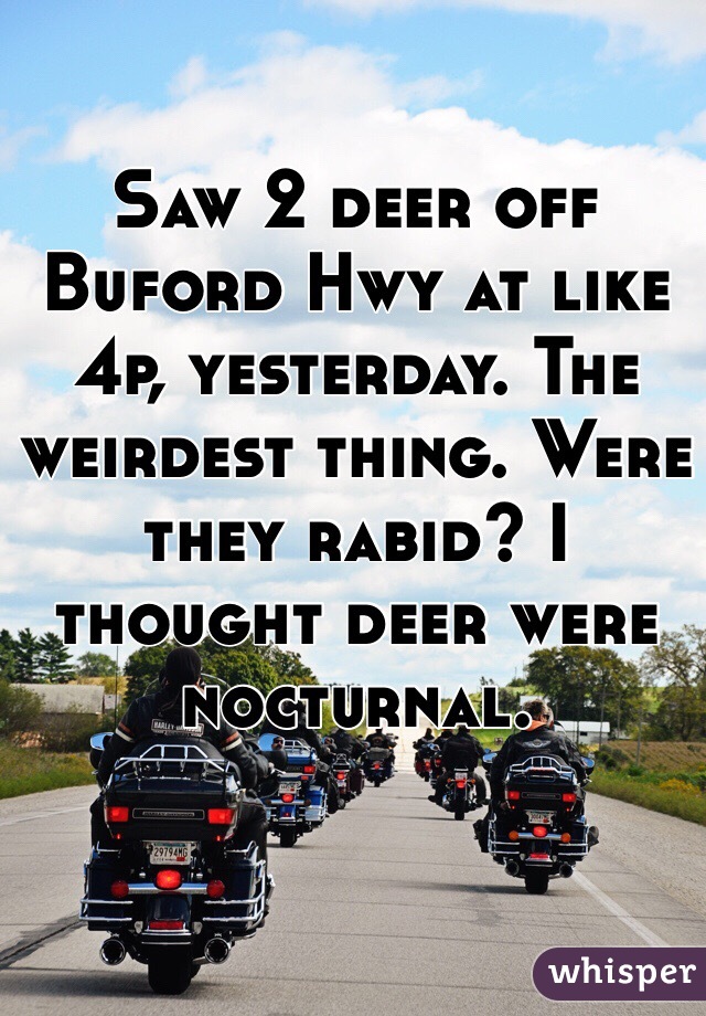 Saw 2 deer off Buford Hwy at like 4p, yesterday. The weirdest thing. Were they rabid? I thought deer were nocturnal. 