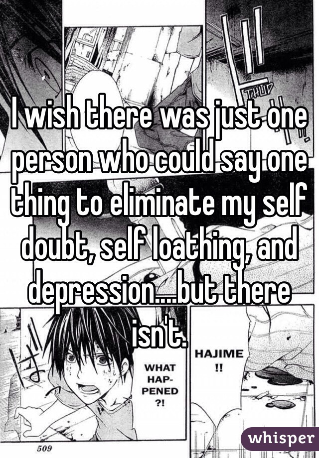 I wish there was just one person who could say one thing to eliminate my self doubt, self loathing, and depression....but there isn't. 