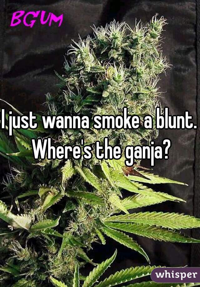 I just wanna smoke a blunt. Where's the ganja?