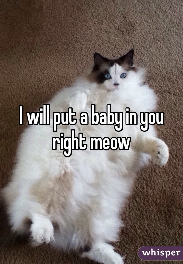 I will put a baby in you right meow