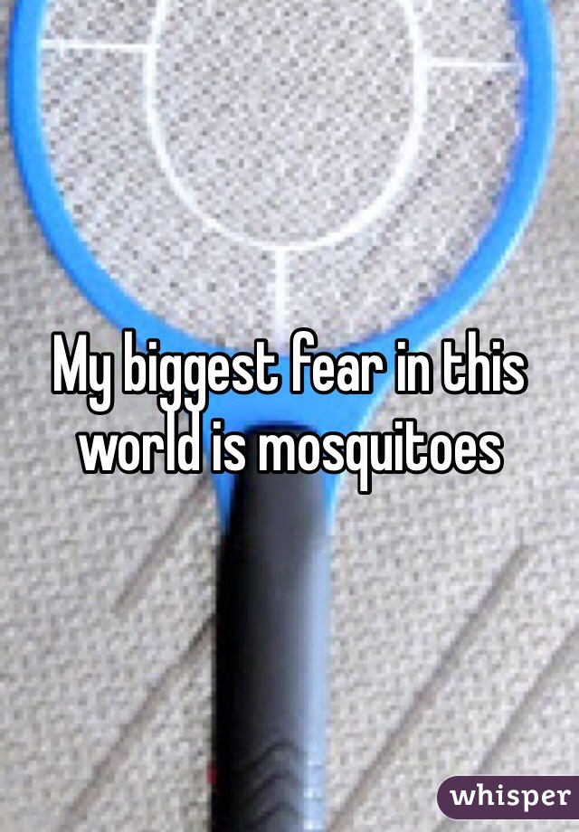 My biggest fear in this world is mosquitoes 