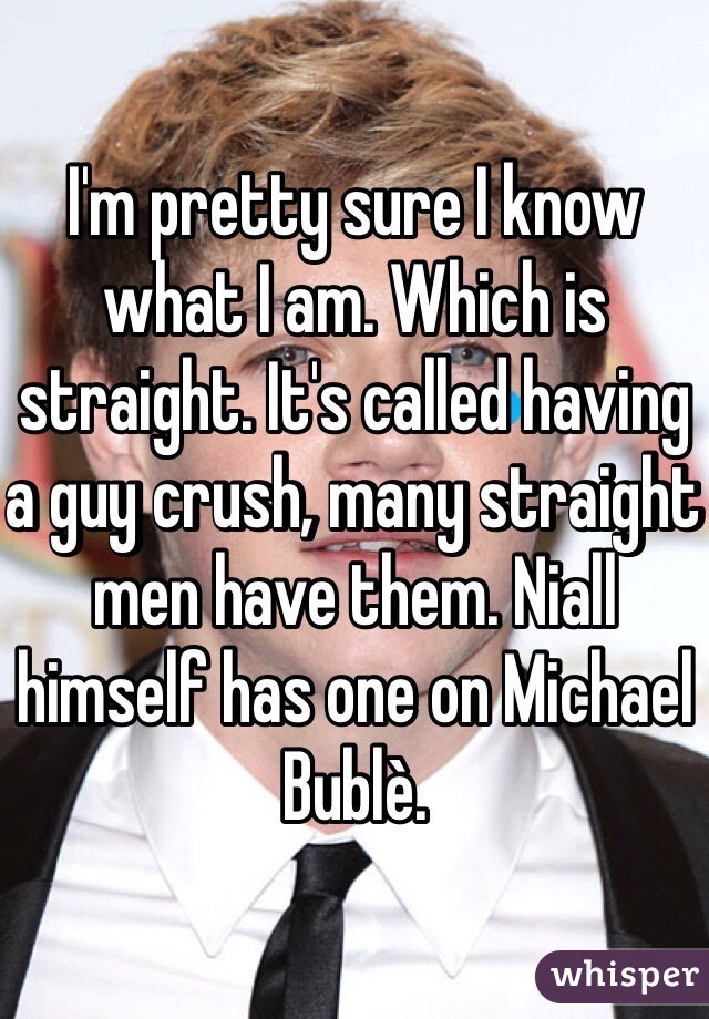 I'm pretty sure I know what I am. Which is straight. It's called having a guy crush, many straight men have them. Niall himself has one on Michael Bublè.