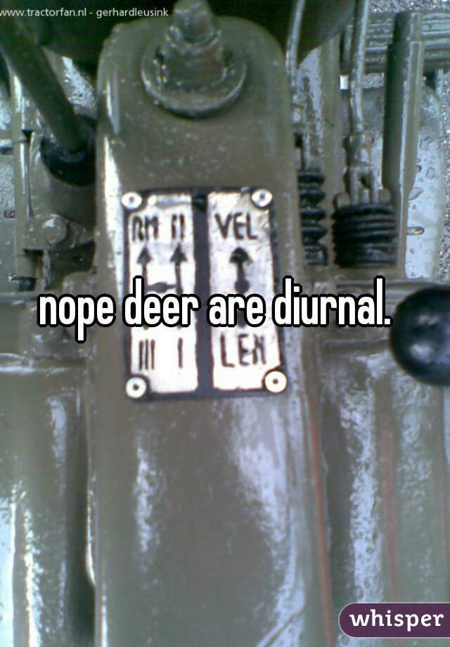 nope deer are diurnal.  