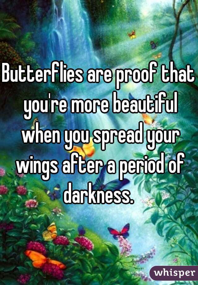 Butterflies are proof that you're more beautiful when you spread your wings after a period of darkness. 