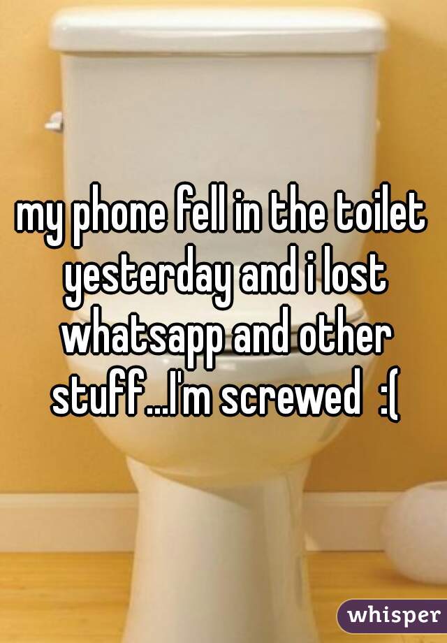 my phone fell in the toilet yesterday and i lost whatsapp and other stuff...I'm screwed  :(