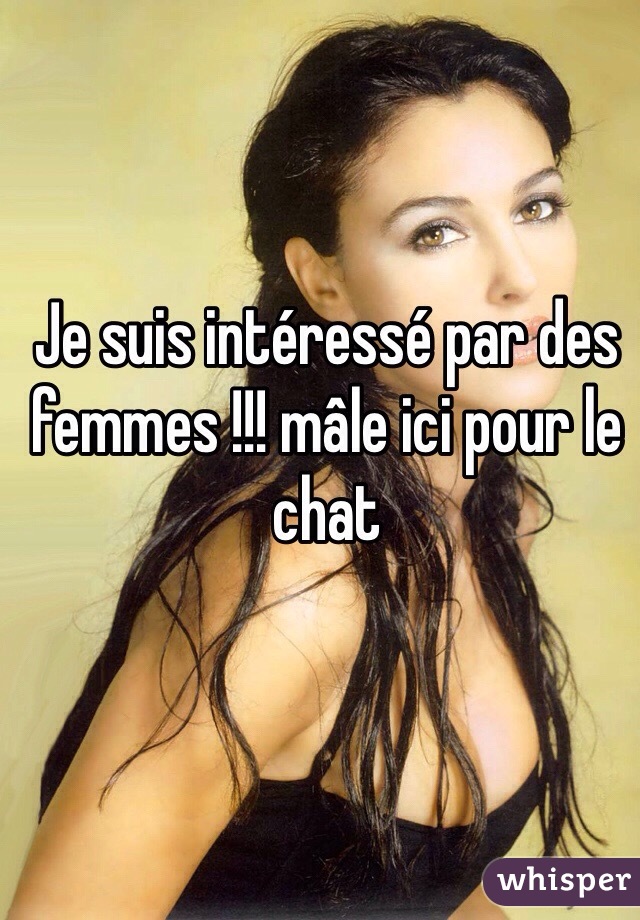 Je suis intéressé par des femmes !!! mâle ici pour le chat